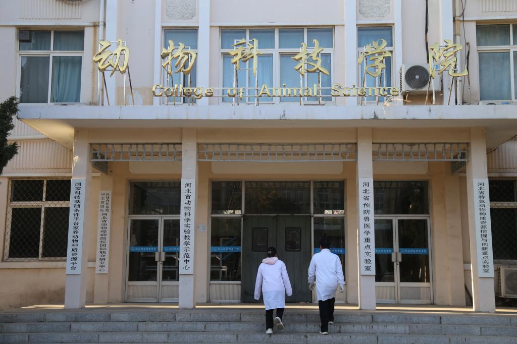 欢迎报考bv伟德中国官方网站